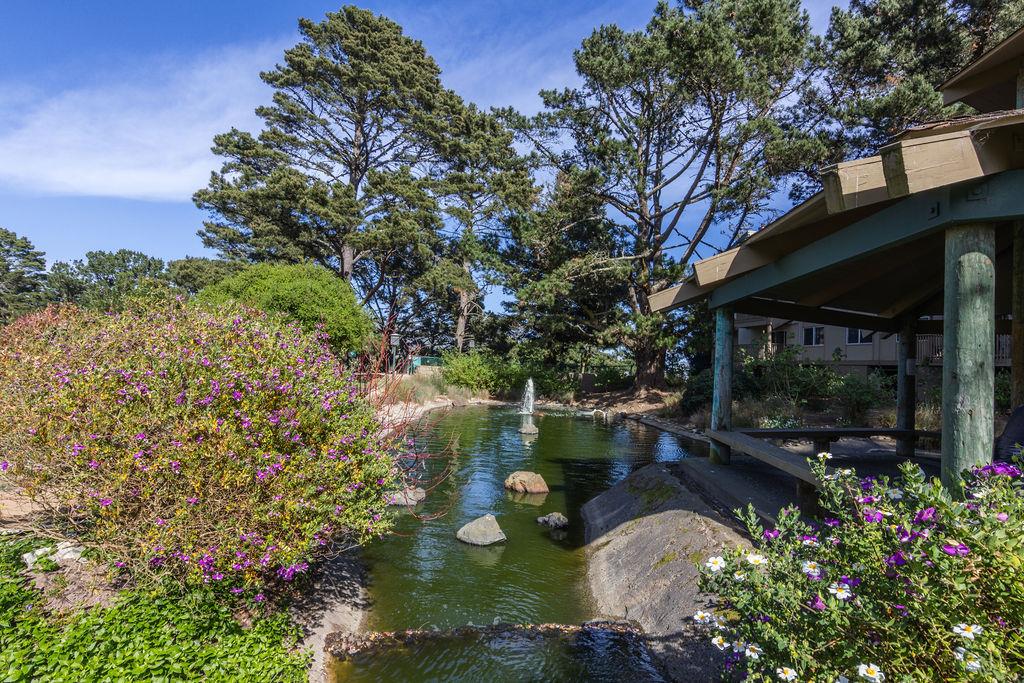 Detail Gallery Image 30 of 39 For 381 Half Moon Ln #209,  Daly City,  CA 94015 - 1 Beds | 1 Baths