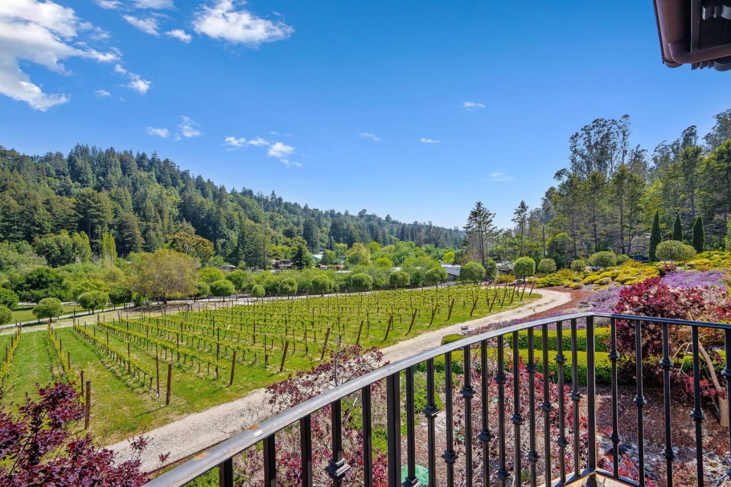 Detail Gallery Image 56 of 112 For 220 Falcon Hl, Santa Cruz,  CA 95065 - 5 Beds | 5/1 Baths