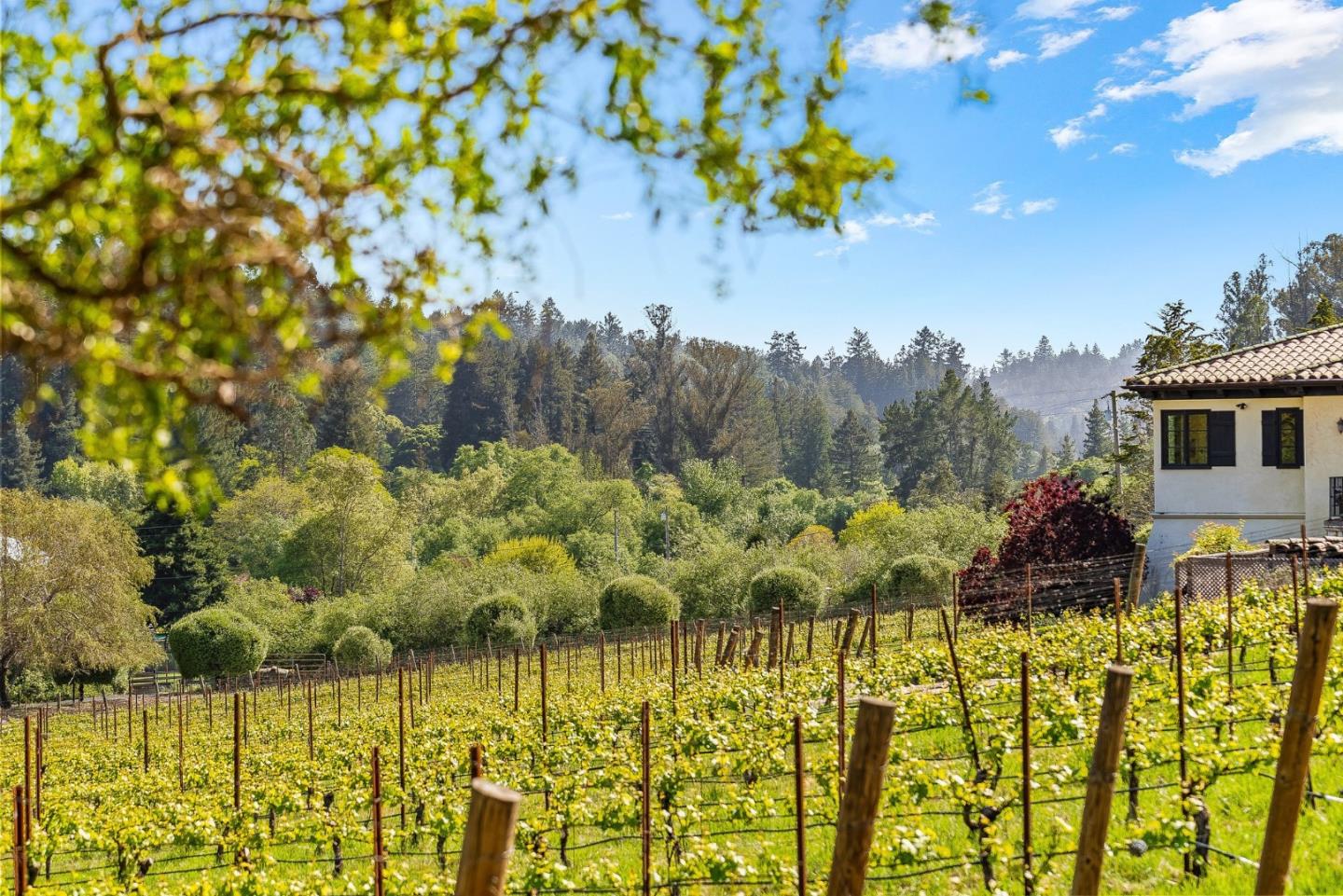 Detail Gallery Image 81 of 112 For 220 Falcon Hl, Santa Cruz,  CA 95065 - 5 Beds | 5/1 Baths