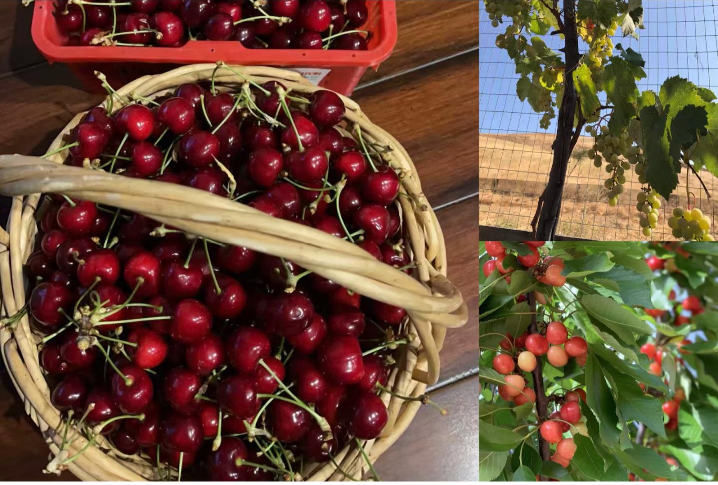 5582 Castello Court, Dublin, CA, 94568