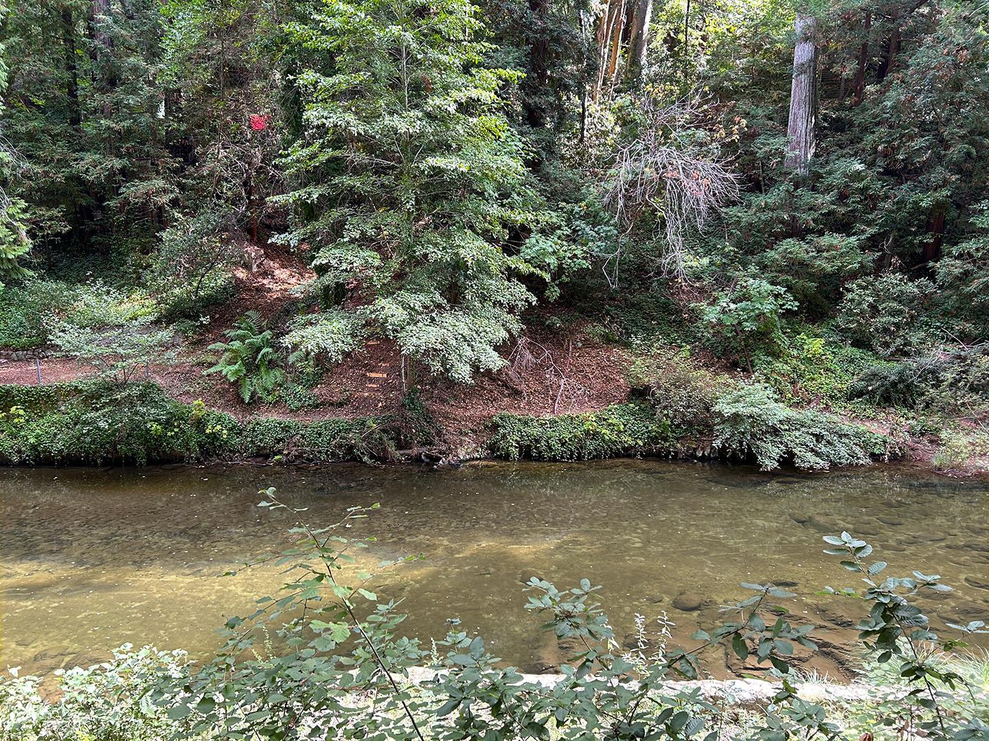 5836 Golden Oaks Rd, Paradise, CA, 95969