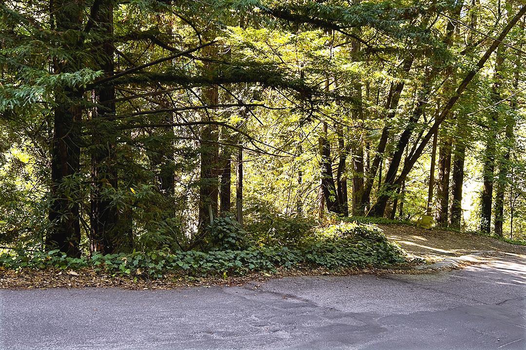 Detail Gallery Image 5 of 8 For 11085 Riverside Rd, Brookdale,  CA 95007 - – Beds | – Baths