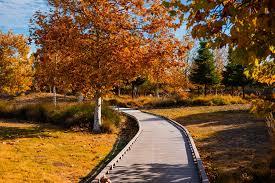 Detail Gallery Image 23 of 23 For 414 Colony Crest Dr, San Jose,  CA 95123 - 3 Beds | 1/1 Baths