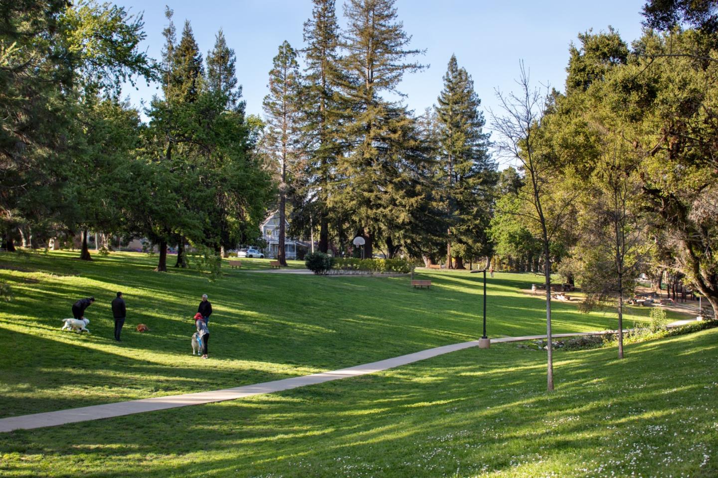 Detail Gallery Image 22 of 26 For 18211 Bancroft Ave, Monte Sereno,  CA 95030 - 5 Beds | 6/1 Baths