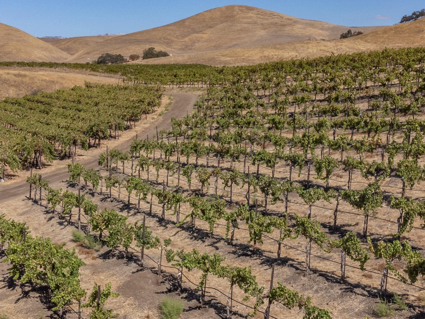 Detail Gallery Image 14 of 50 For 0 Airline Hwy, Tres Pinos,  CA 95075 - – Beds | – Baths