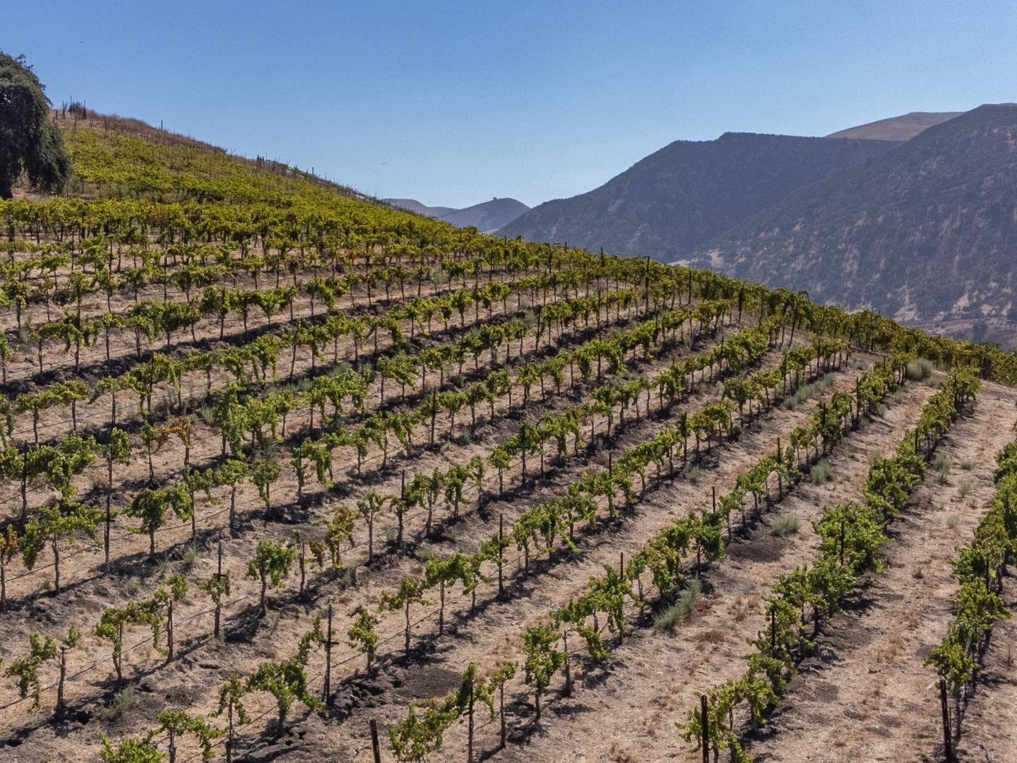 Detail Gallery Image 16 of 50 For 0 Airline Hwy, Tres Pinos,  CA 95075 - – Beds | – Baths