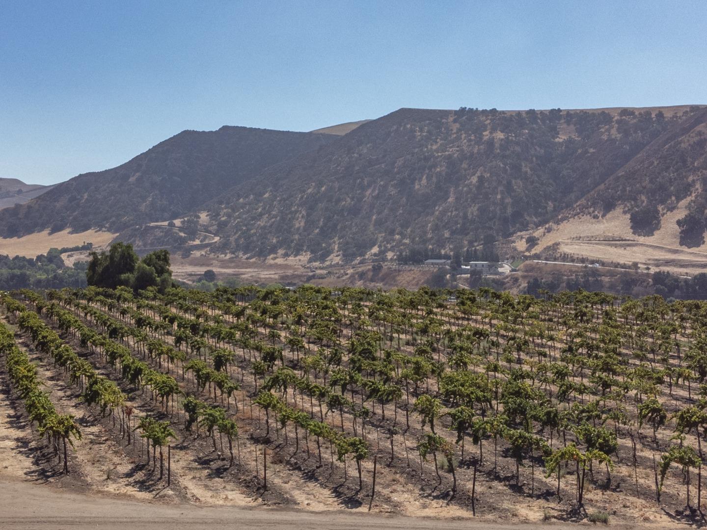 Detail Gallery Image 17 of 50 For 0 Airline Hwy, Tres Pinos,  CA 95075 - – Beds | – Baths