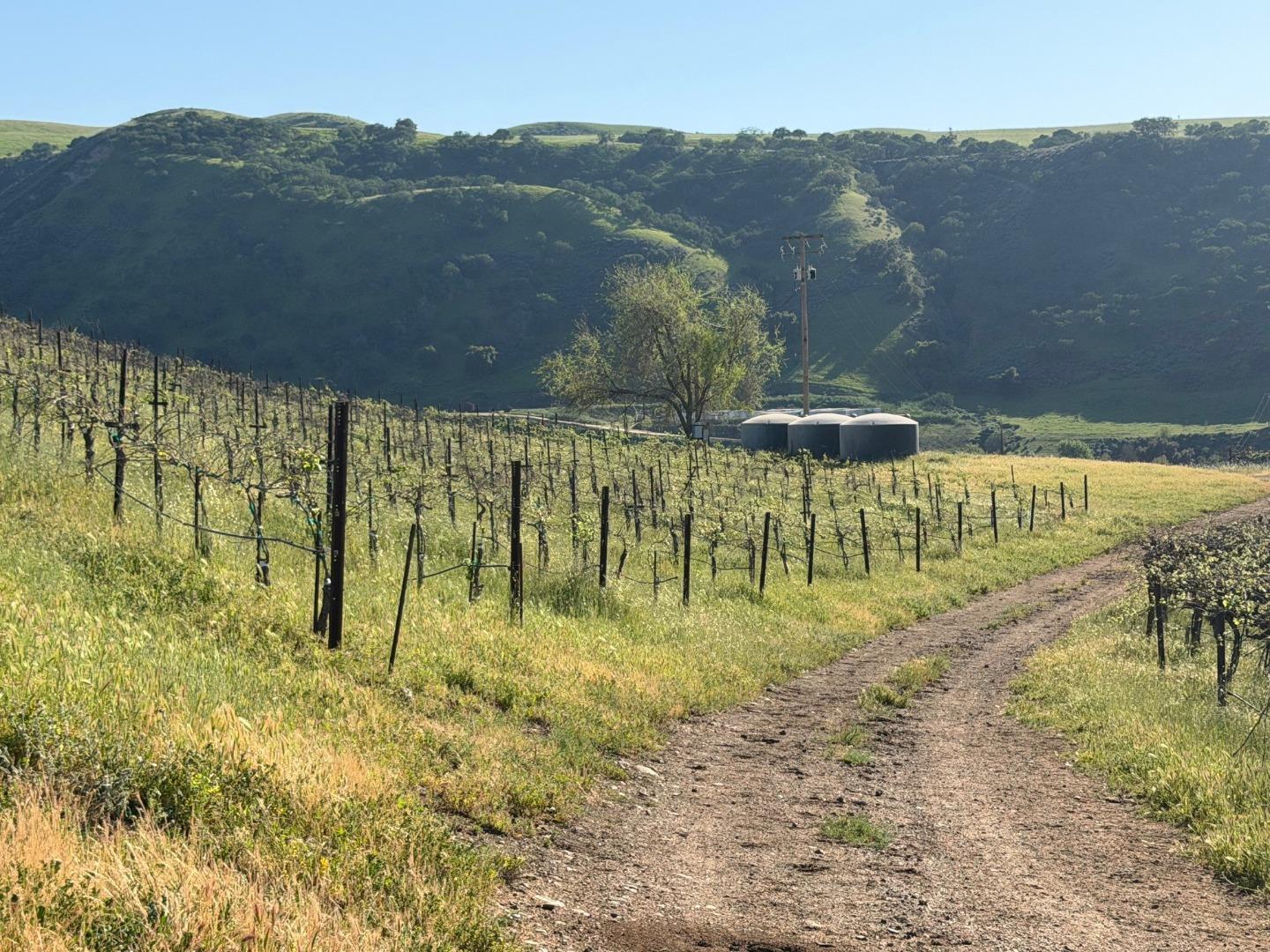 Detail Gallery Image 19 of 50 For 0 Airline Hwy, Tres Pinos,  CA 95075 - – Beds | – Baths