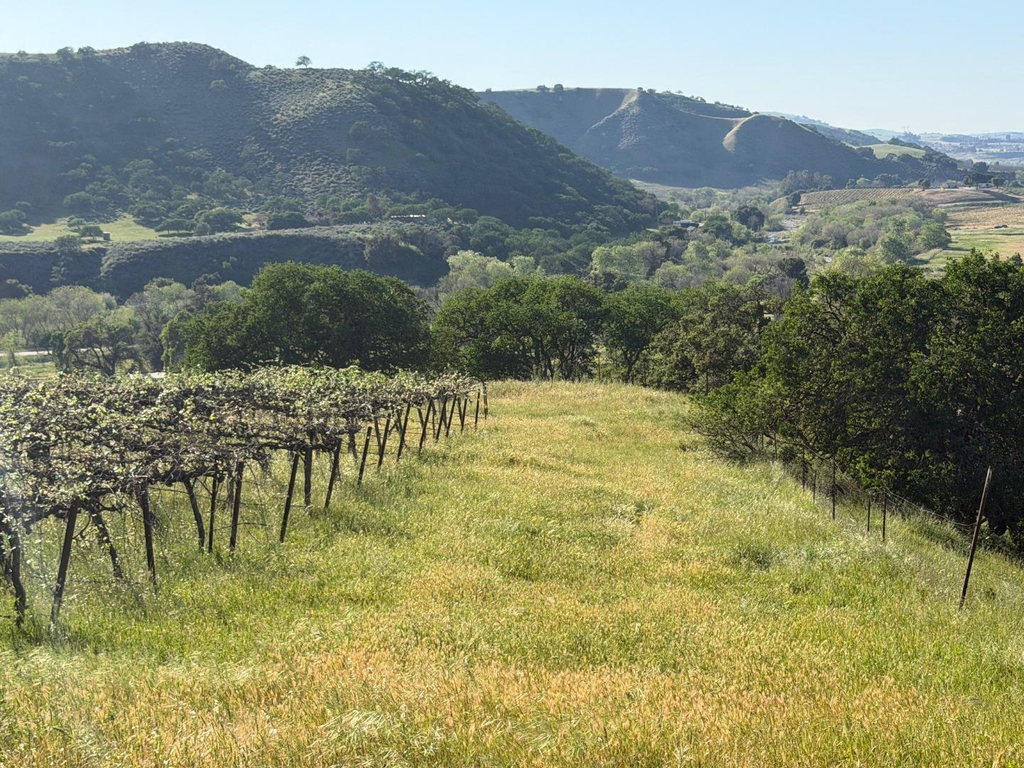 Detail Gallery Image 21 of 50 For 0 Airline Hwy, Tres Pinos,  CA 95075 - – Beds | – Baths