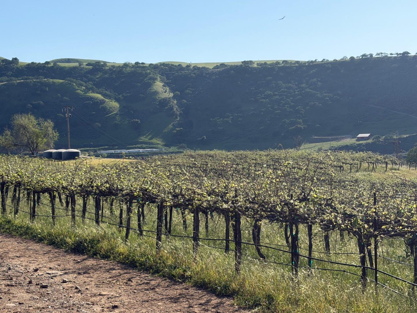 Detail Gallery Image 22 of 50 For 0 Airline Hwy, Tres Pinos,  CA 95075 - – Beds | – Baths