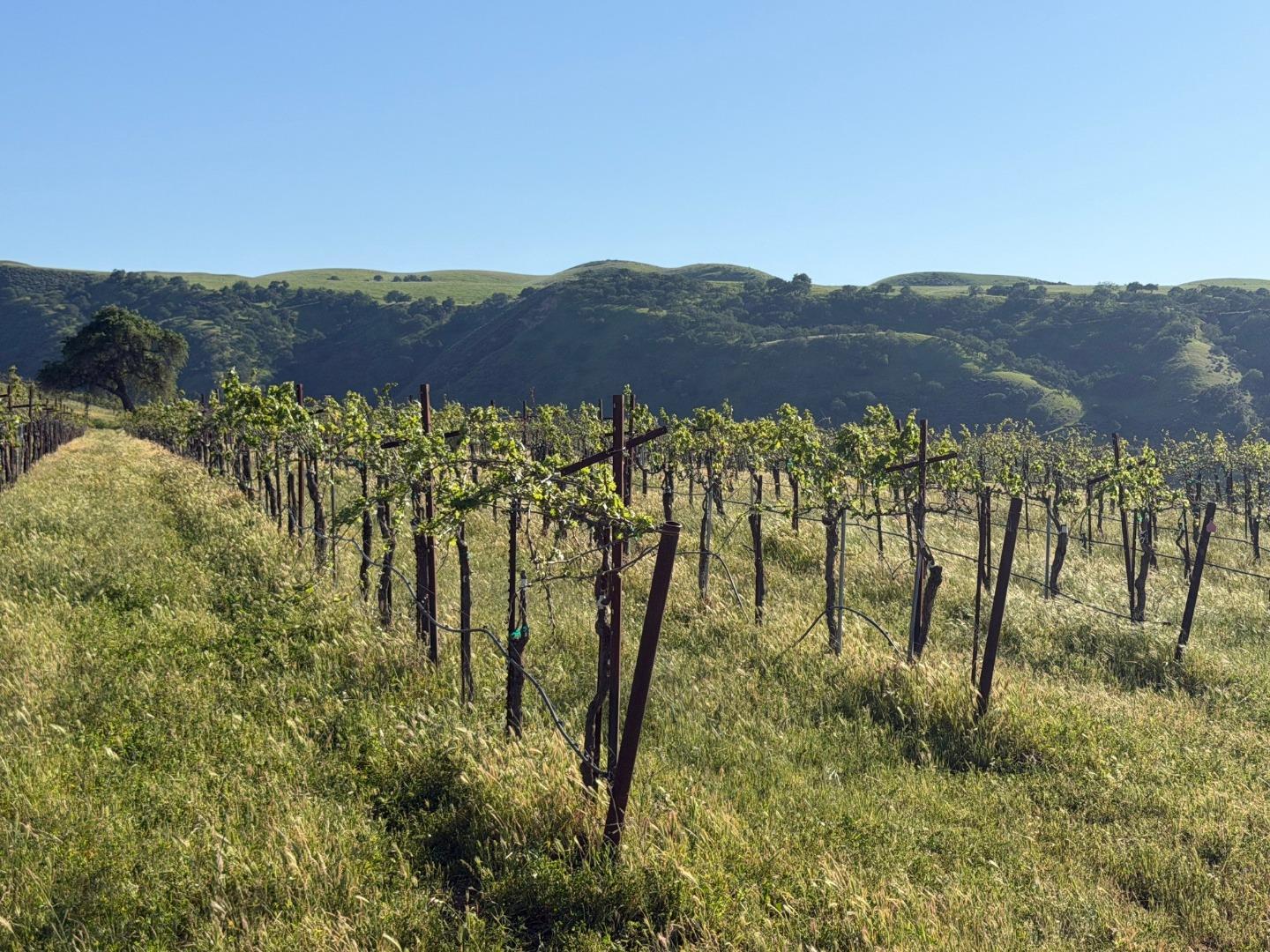 Detail Gallery Image 23 of 50 For 0 Airline Hwy, Tres Pinos,  CA 95075 - – Beds | – Baths