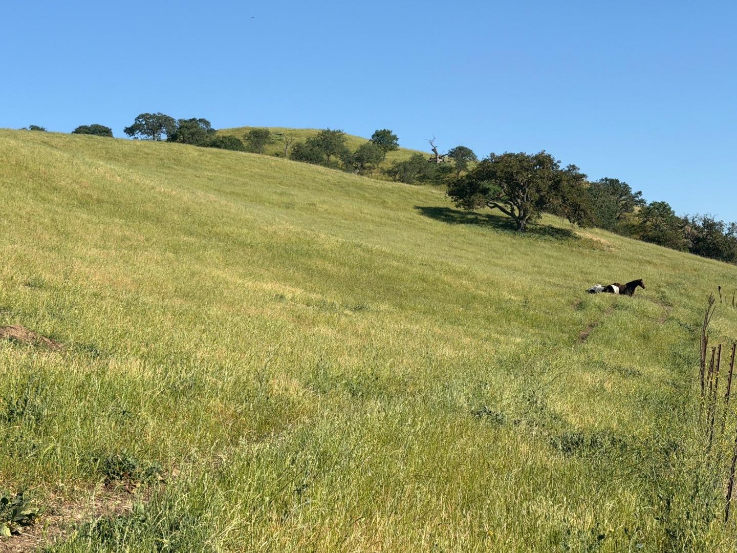 Detail Gallery Image 24 of 50 For 0 Airline Hwy, Tres Pinos,  CA 95075 - – Beds | – Baths