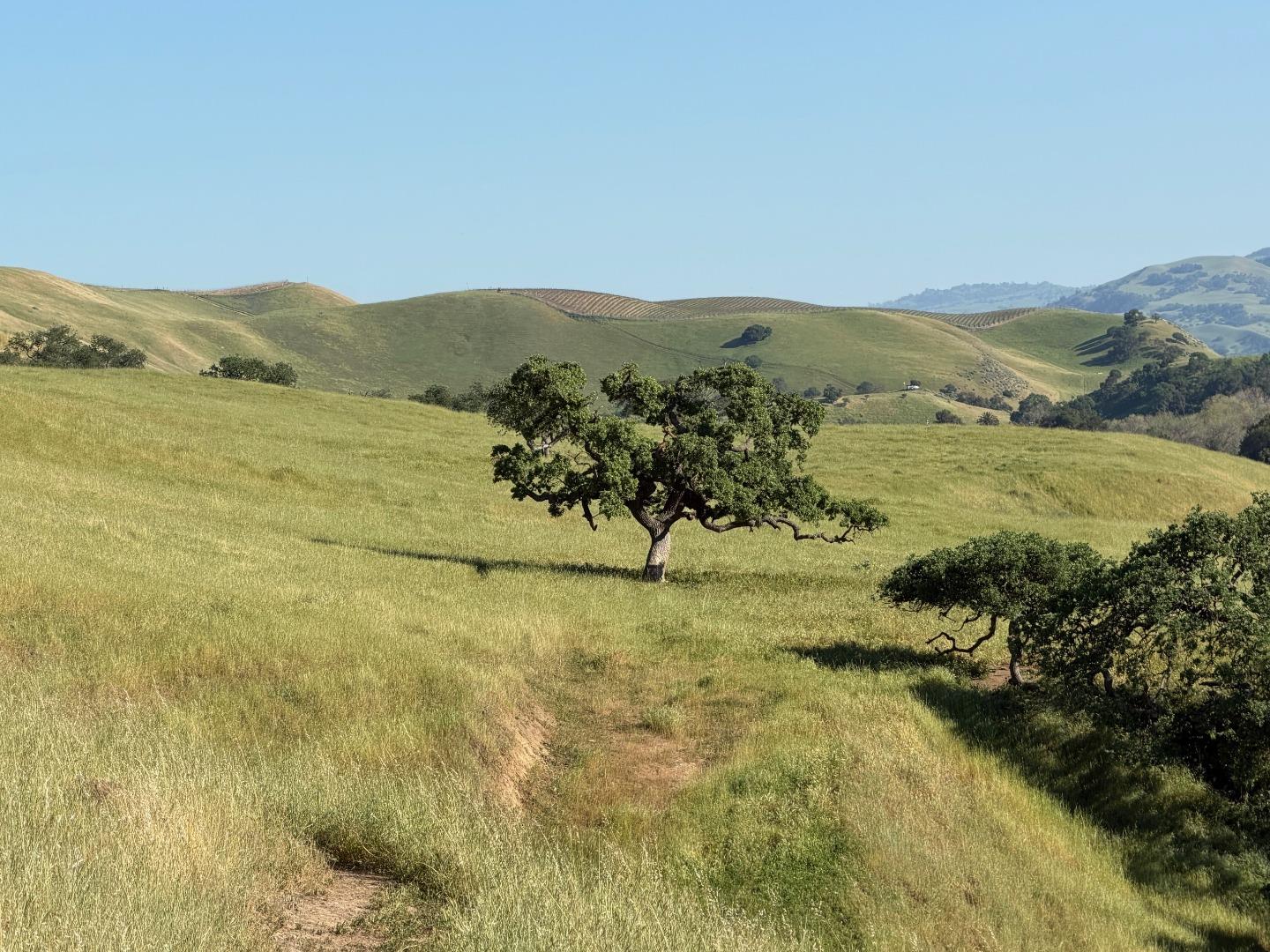 Detail Gallery Image 26 of 50 For 0 Airline Hwy, Tres Pinos,  CA 95075 - – Beds | – Baths