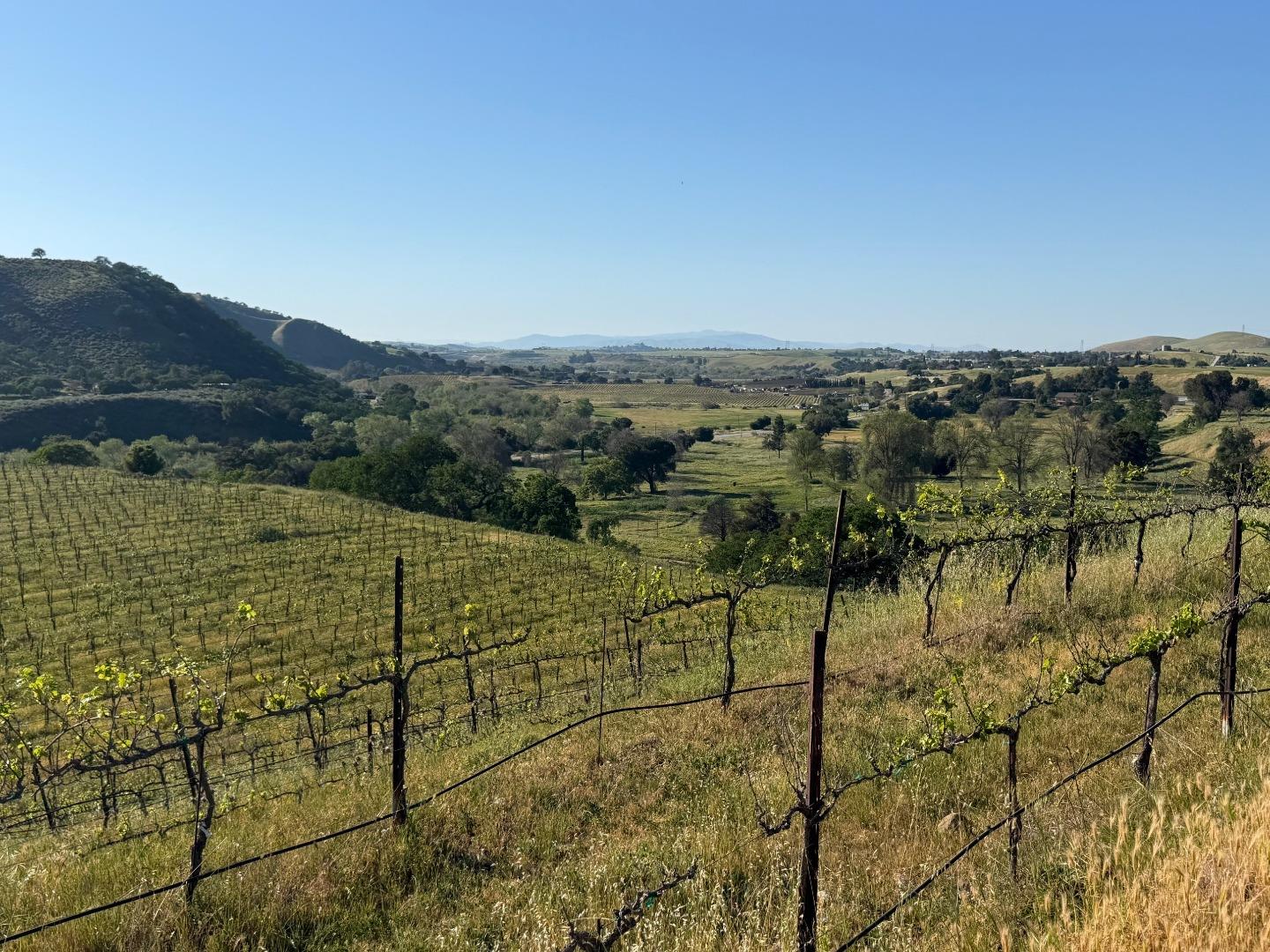 Detail Gallery Image 29 of 50 For 0 Airline Hwy, Tres Pinos,  CA 95075 - – Beds | – Baths