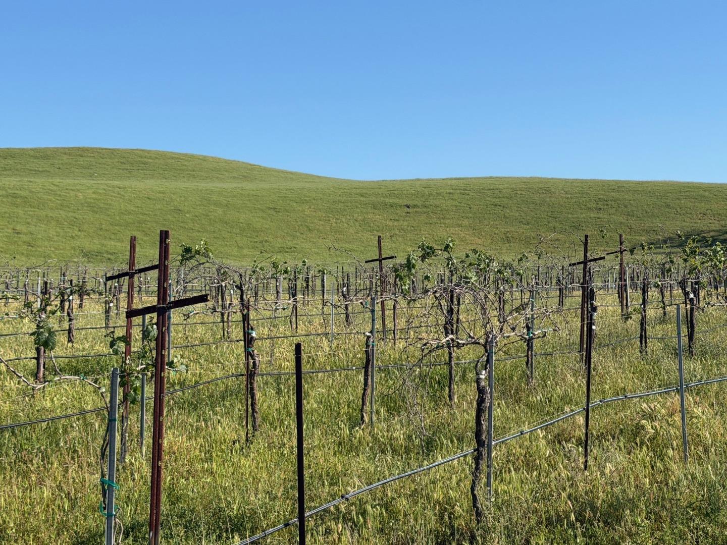 Detail Gallery Image 32 of 50 For 0 Airline Hwy, Tres Pinos,  CA 95075 - – Beds | – Baths