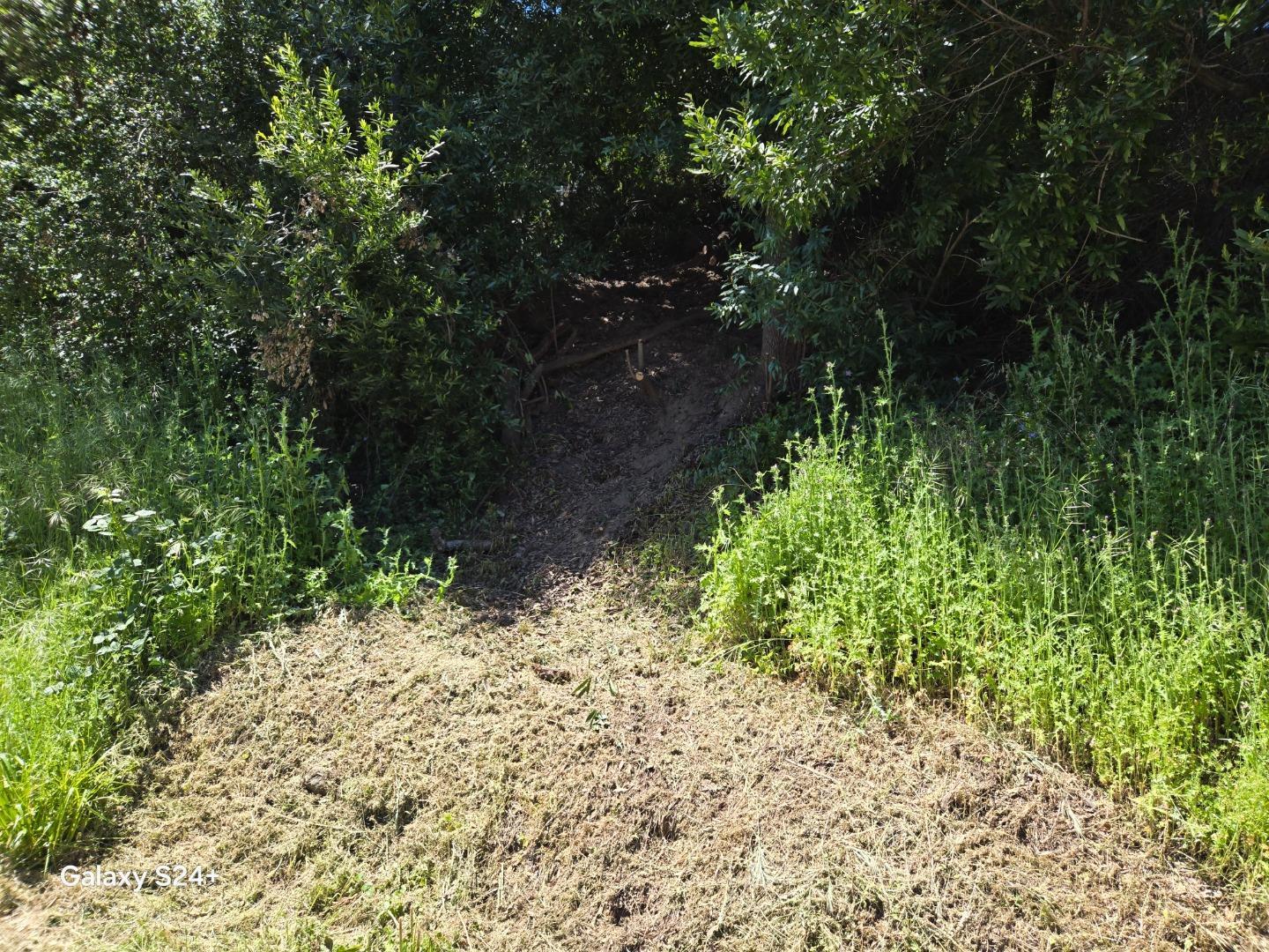 Detail Gallery Image 11 of 23 For Old Santa Cruz Hwy, Los Gatos,  CA 95033 - – Beds | – Baths