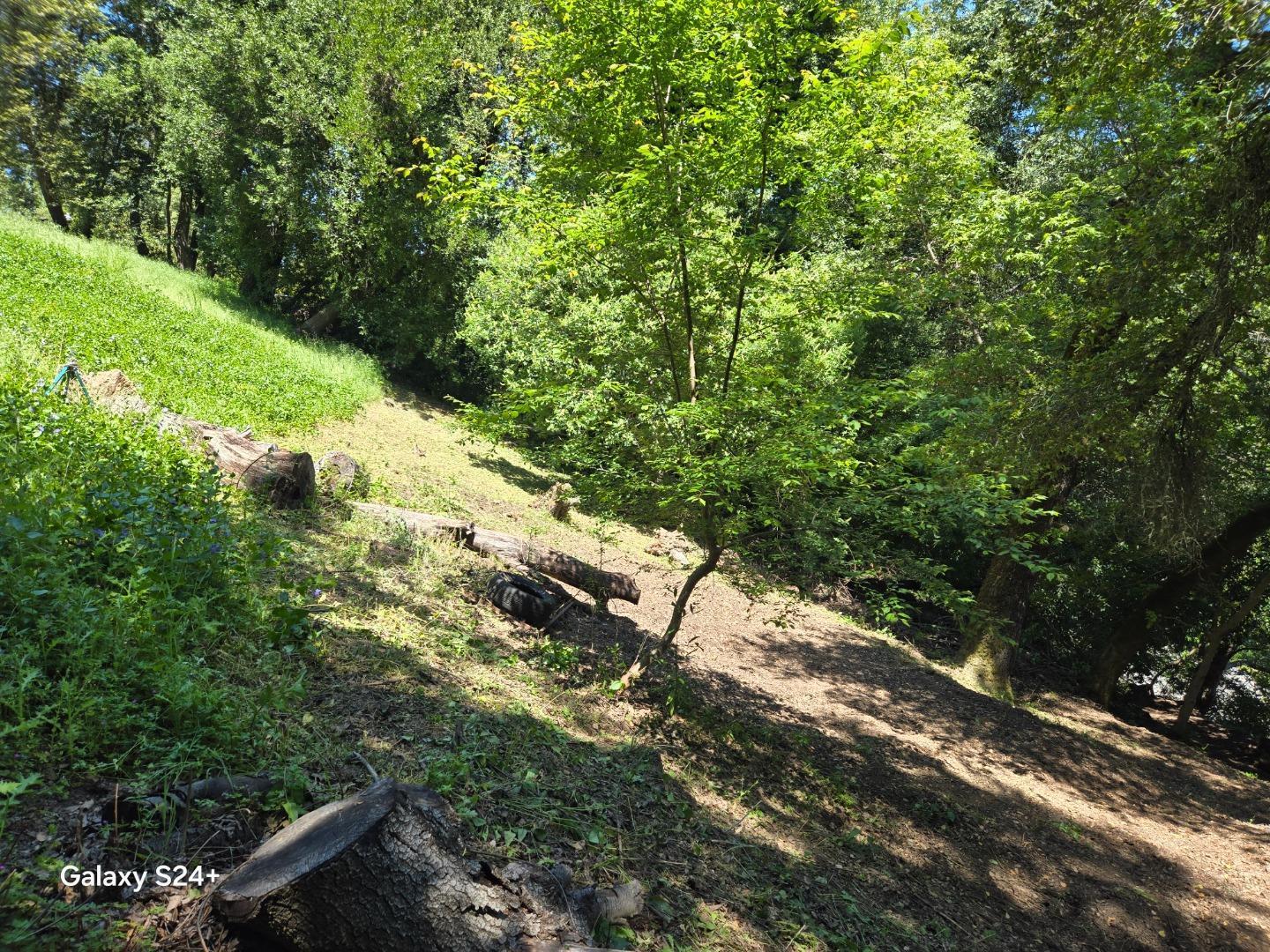 Detail Gallery Image 12 of 23 For Old Santa Cruz Hwy, Los Gatos,  CA 95033 - – Beds | – Baths