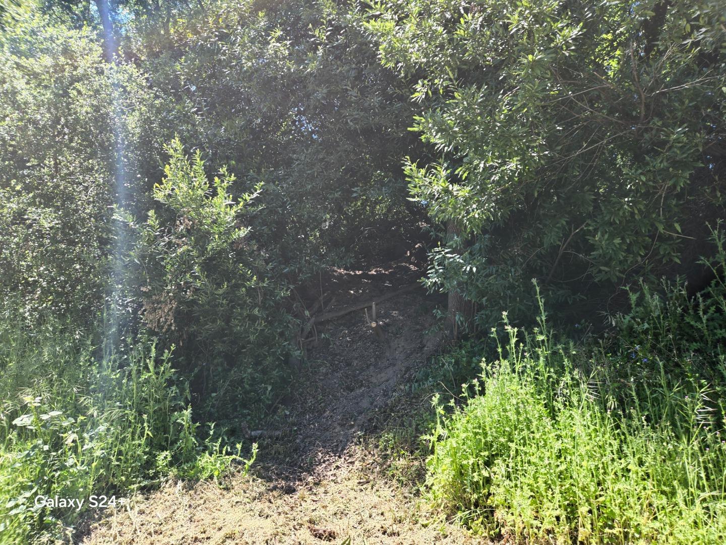 Detail Gallery Image 13 of 23 For Old Santa Cruz Hwy, Los Gatos,  CA 95033 - – Beds | – Baths