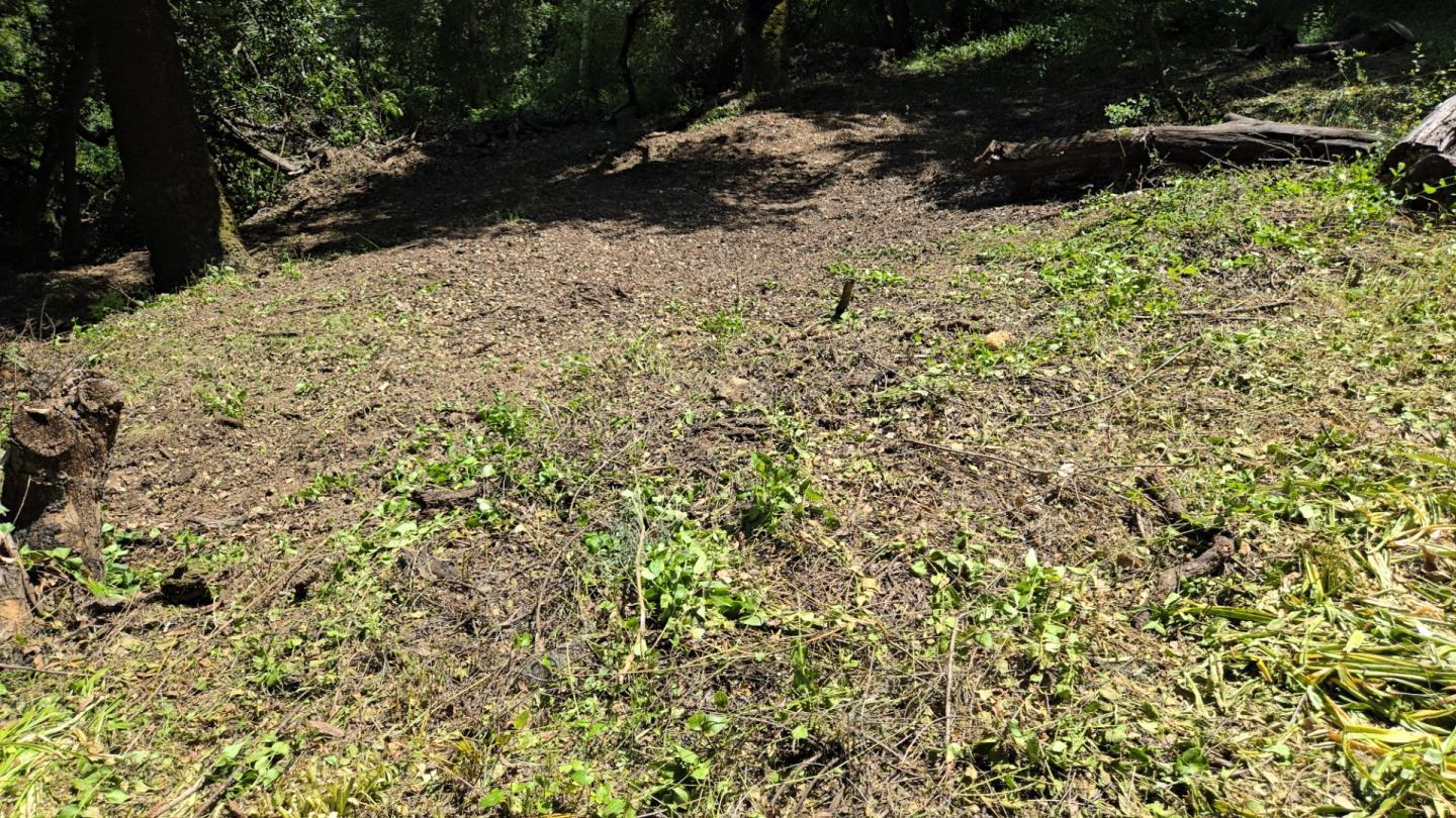 Detail Gallery Image 4 of 23 For Old Santa Cruz Hwy, Los Gatos,  CA 95033 - – Beds | – Baths