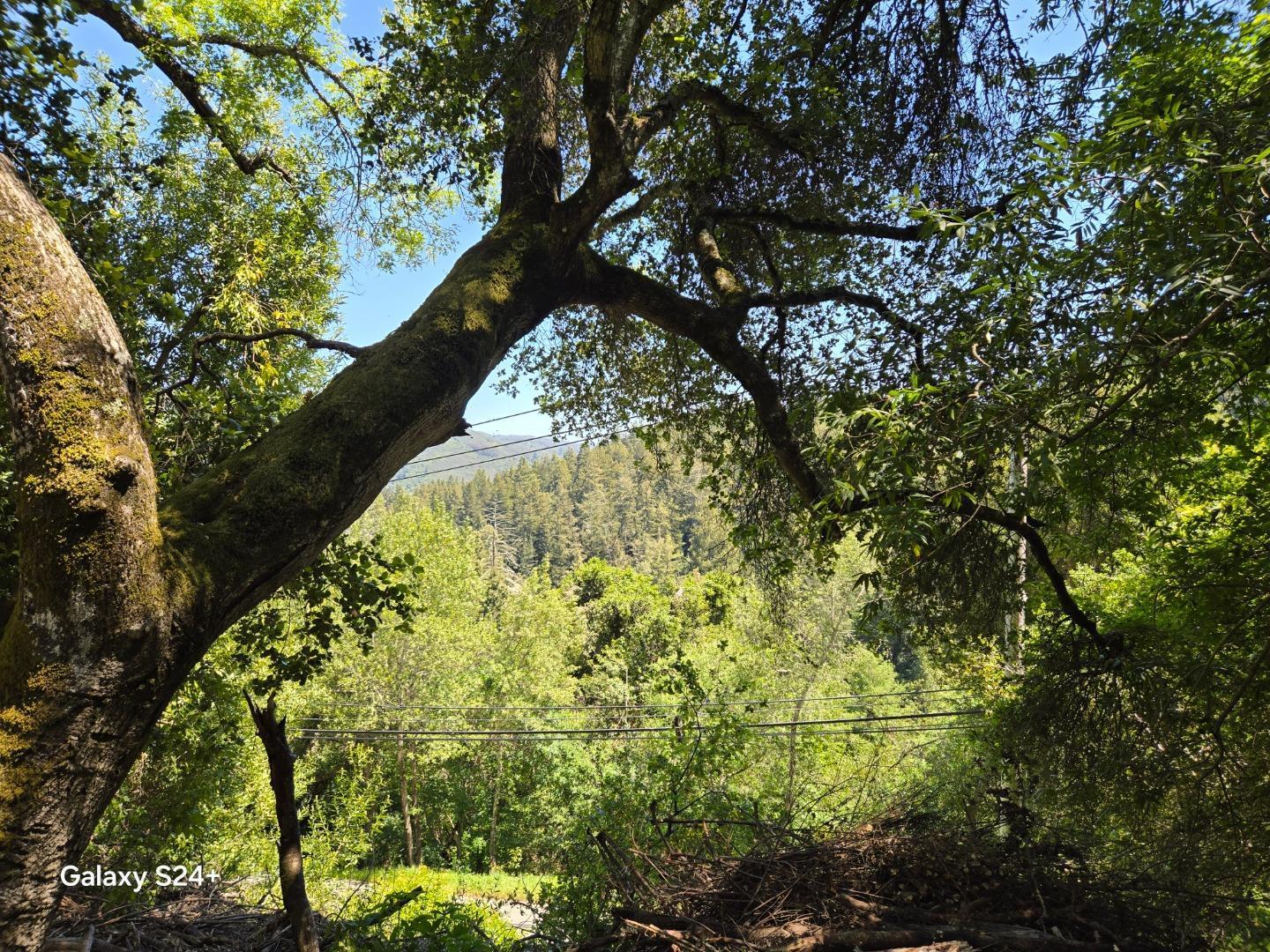 Detail Gallery Image 5 of 23 For Old Santa Cruz Hwy, Los Gatos,  CA 95033 - – Beds | – Baths