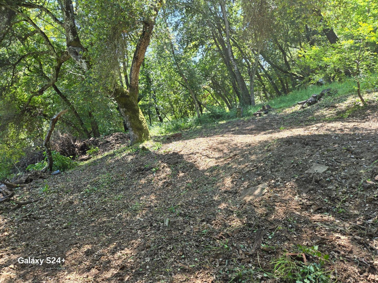 Detail Gallery Image 8 of 23 For Old Santa Cruz Hwy, Los Gatos,  CA 95033 - – Beds | – Baths