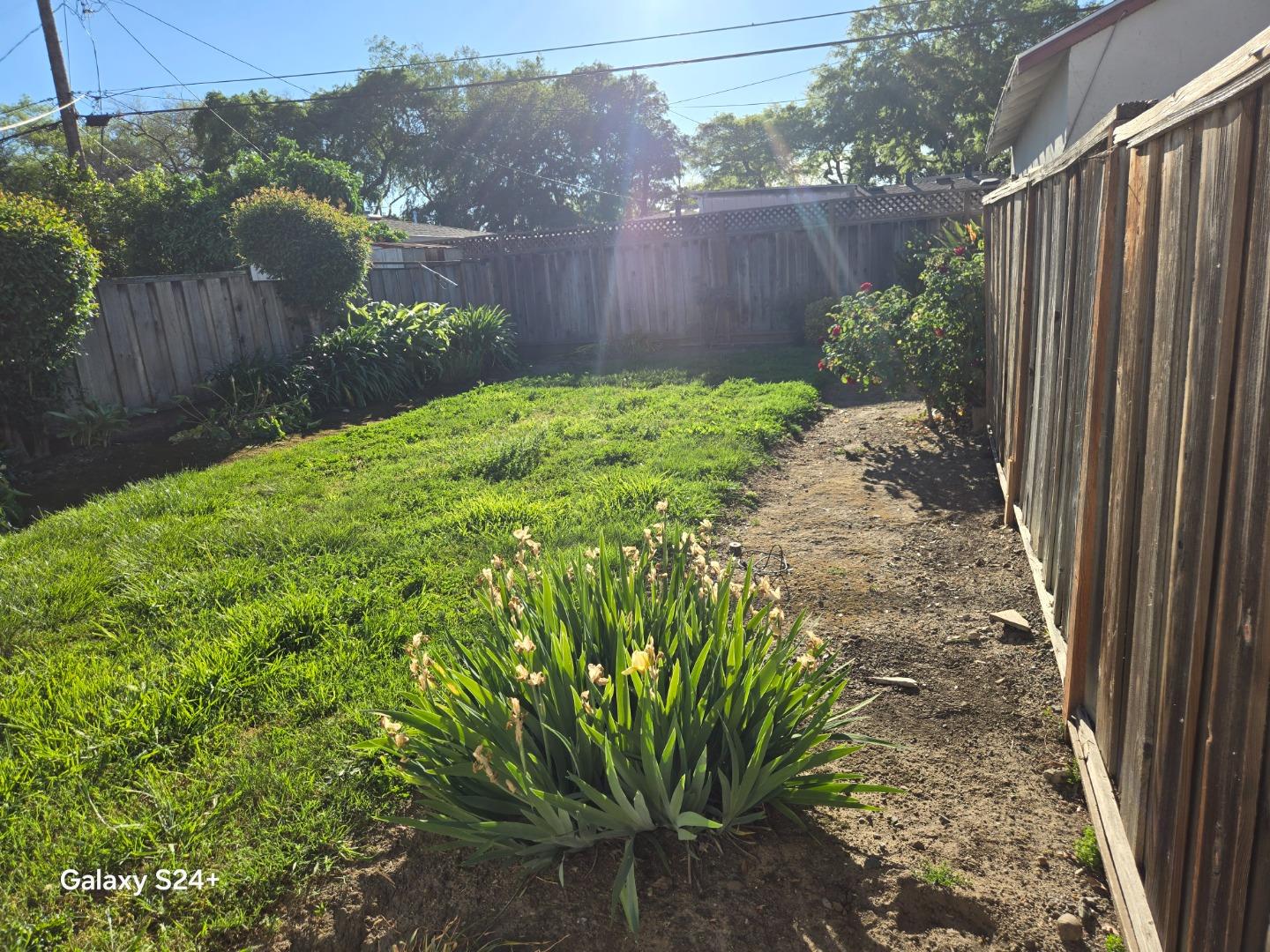 Detail Gallery Image 7 of 10 For 623 & 631 N Daniel, San Jose,  CA 95128 - – Beds | – Baths