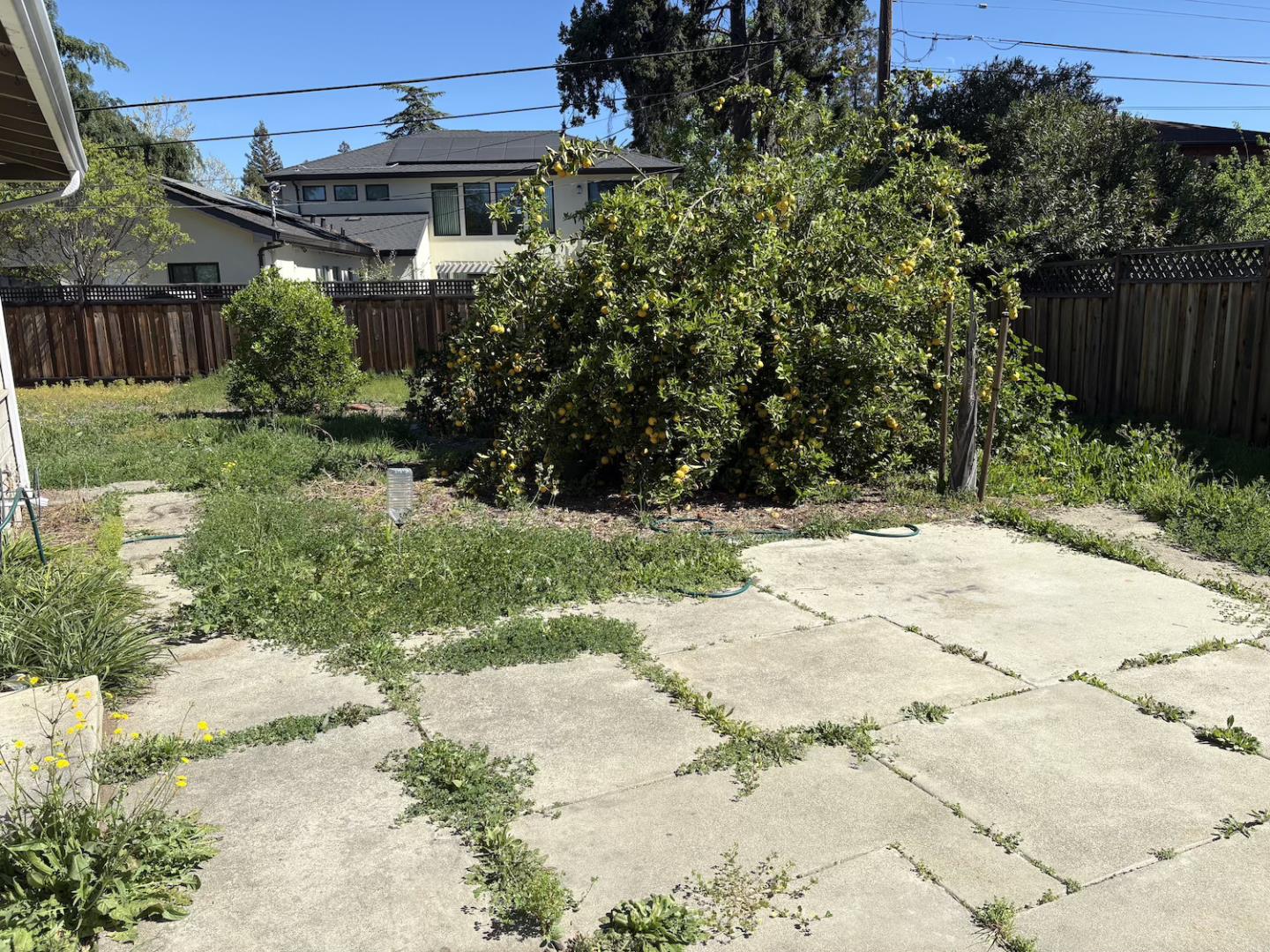 Detail Gallery Image 4 of 17 For 17951 Los Felice Dr, Saratoga,  CA 95070 - 3 Beds | 1/1 Baths