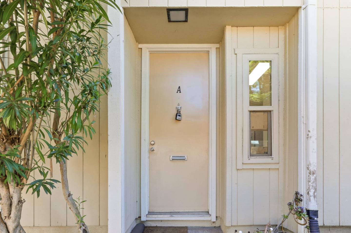 Photo #3: ML82040065 Listing: Photo #3