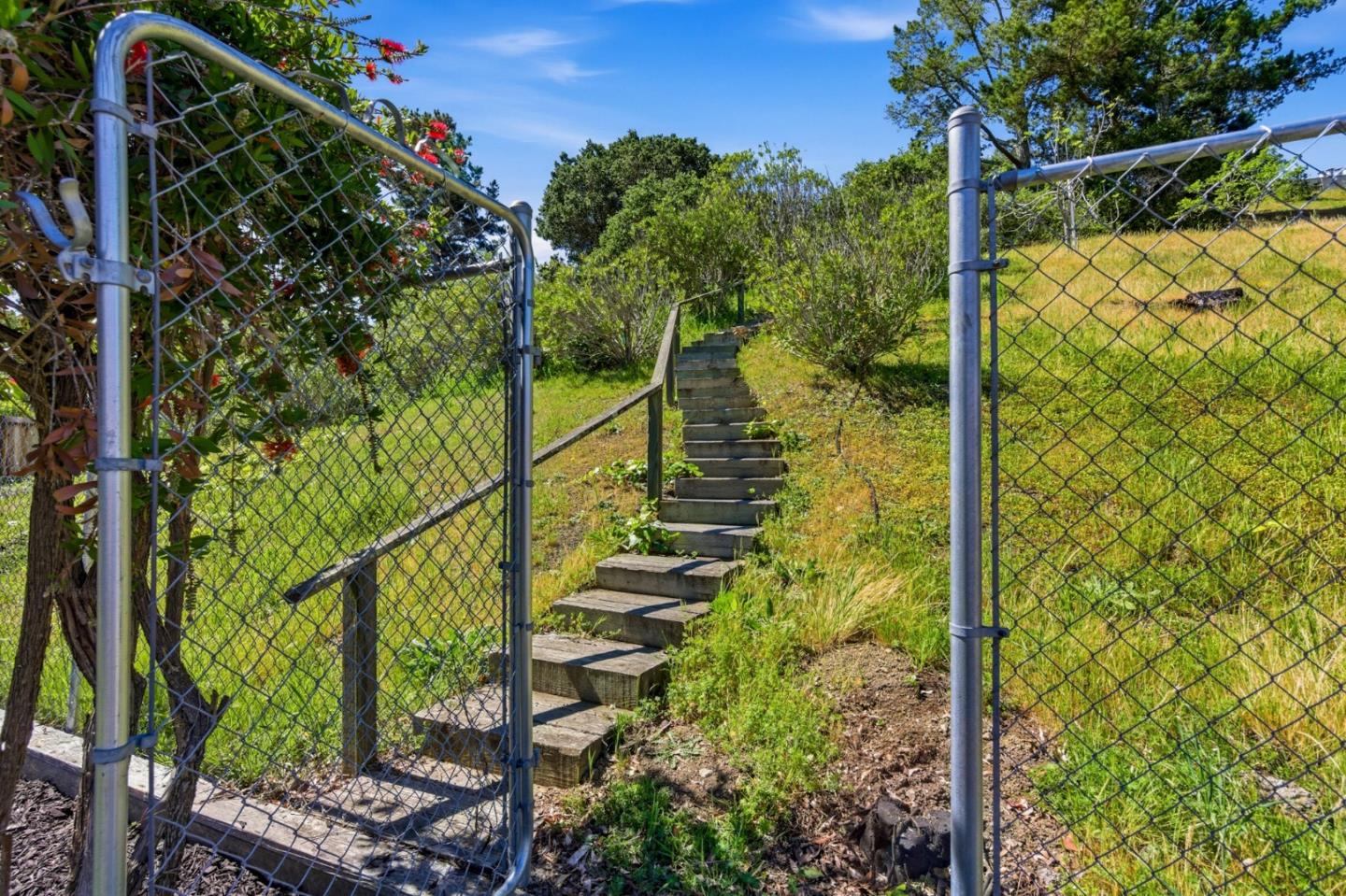 Detail Gallery Image 74 of 82 For 1460 Murchison Dr, Millbrae,  CA 94030 - 4 Beds | 2 Baths