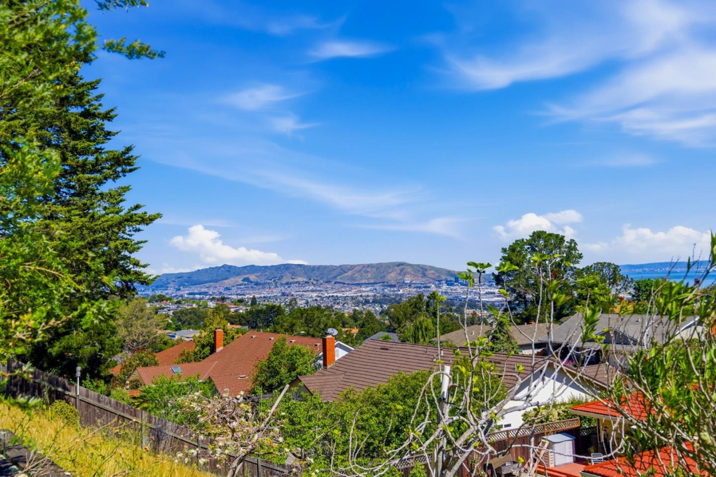 Detail Gallery Image 76 of 82 For 1460 Murchison Dr, Millbrae,  CA 94030 - 4 Beds | 2 Baths