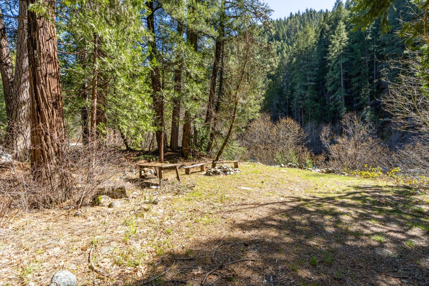 Detail Gallery Image 54 of 64 For 21791 Highway 49, Downieville,  CA 95936 - 4 Beds | 4/1 Baths