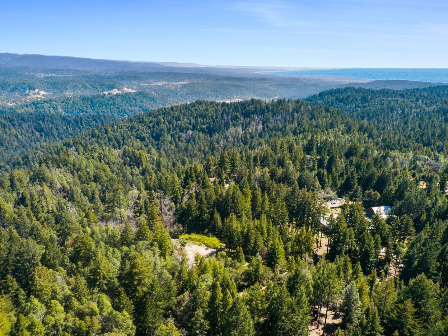 Detail Gallery Image 11 of 24 For 235 Feather Ln, Santa Cruz,  CA 95060 - – Beds | – Baths