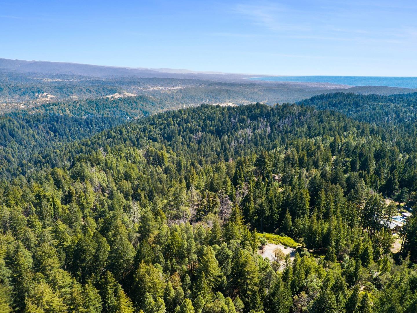 Detail Gallery Image 12 of 24 For 235 Feather Ln, Santa Cruz,  CA 95060 - – Beds | – Baths