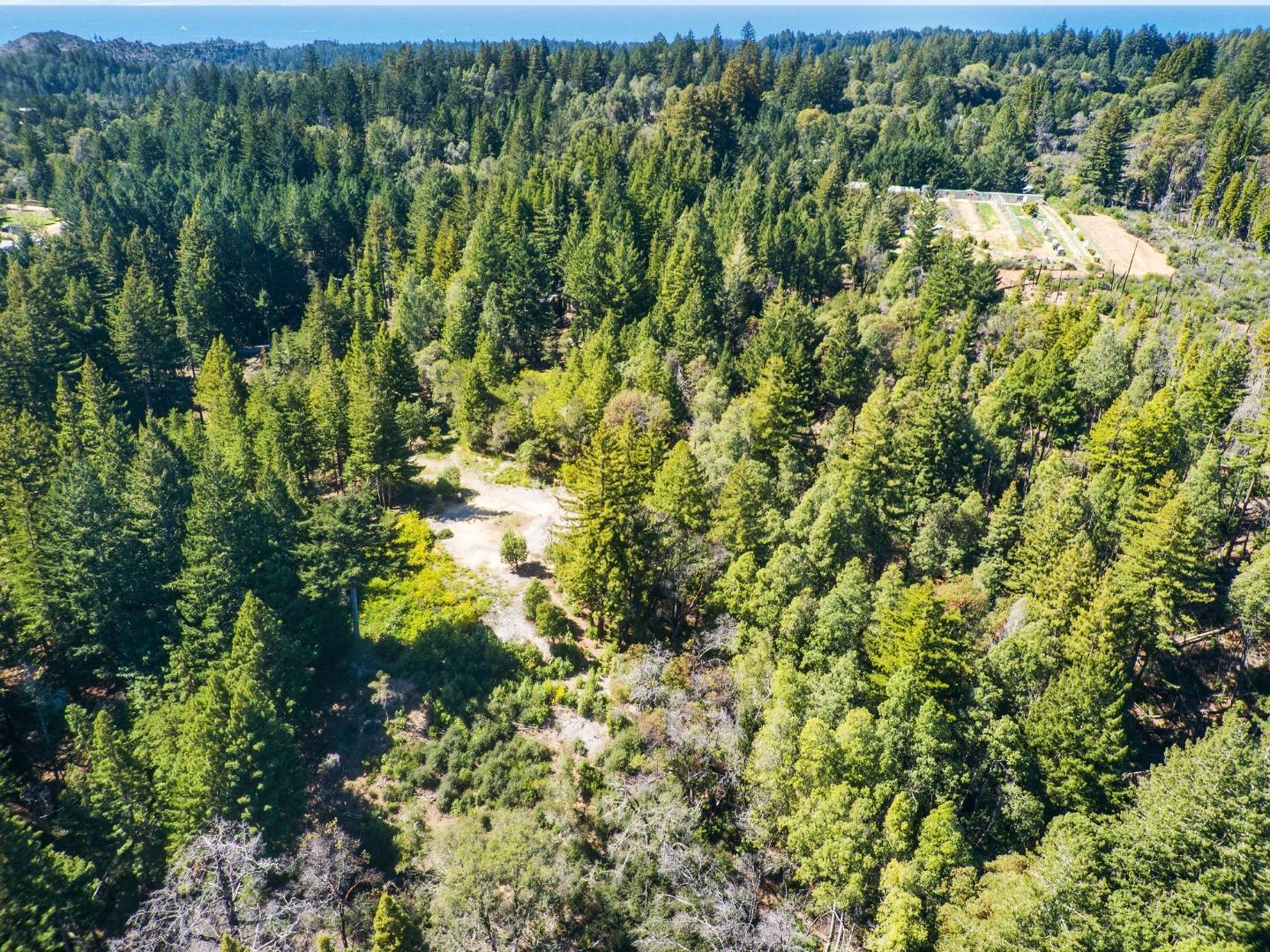 Detail Gallery Image 14 of 24 For 235 Feather Ln, Santa Cruz,  CA 95060 - – Beds | – Baths