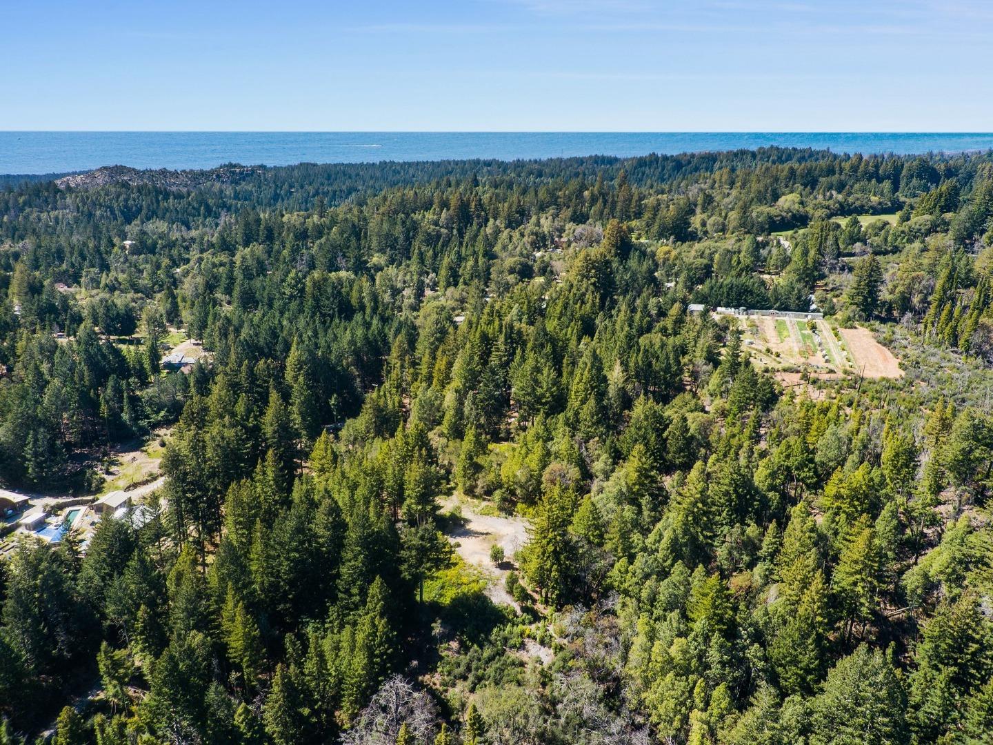 Detail Gallery Image 16 of 24 For 235 Feather Ln, Santa Cruz,  CA 95060 - – Beds | – Baths