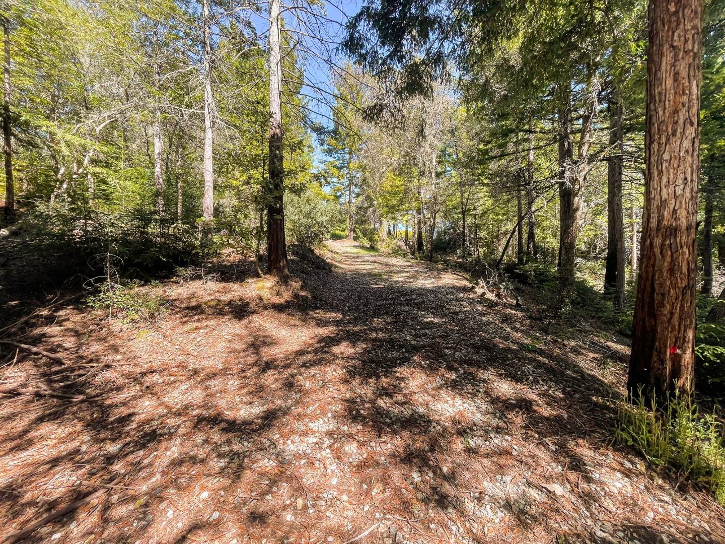 Detail Gallery Image 19 of 24 For 235 Feather Ln, Santa Cruz,  CA 95060 - – Beds | – Baths