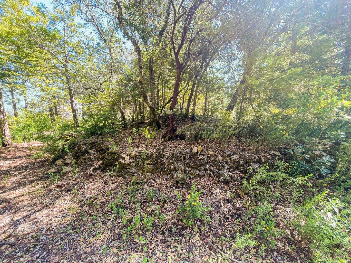 Detail Gallery Image 20 of 24 For 235 Feather Ln, Santa Cruz,  CA 95060 - – Beds | – Baths