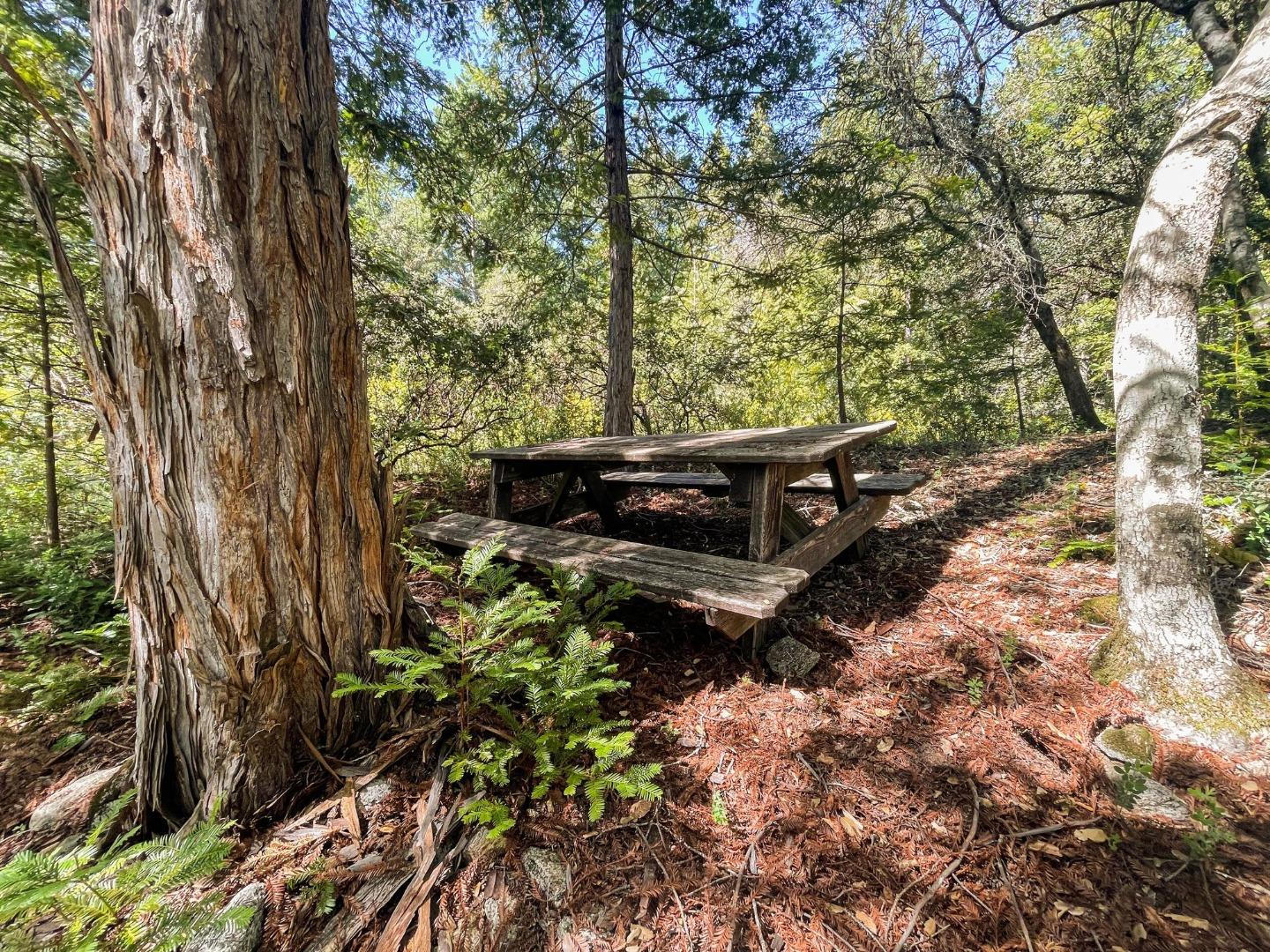 Detail Gallery Image 21 of 24 For 235 Feather Ln, Santa Cruz,  CA 95060 - – Beds | – Baths