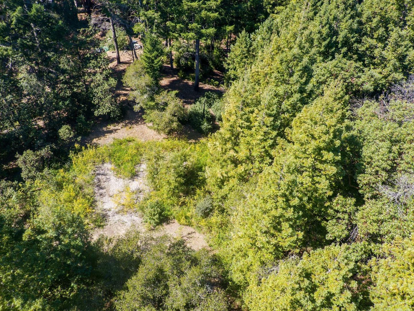 Detail Gallery Image 4 of 24 For 235 Feather Ln, Santa Cruz,  CA 95060 - – Beds | – Baths