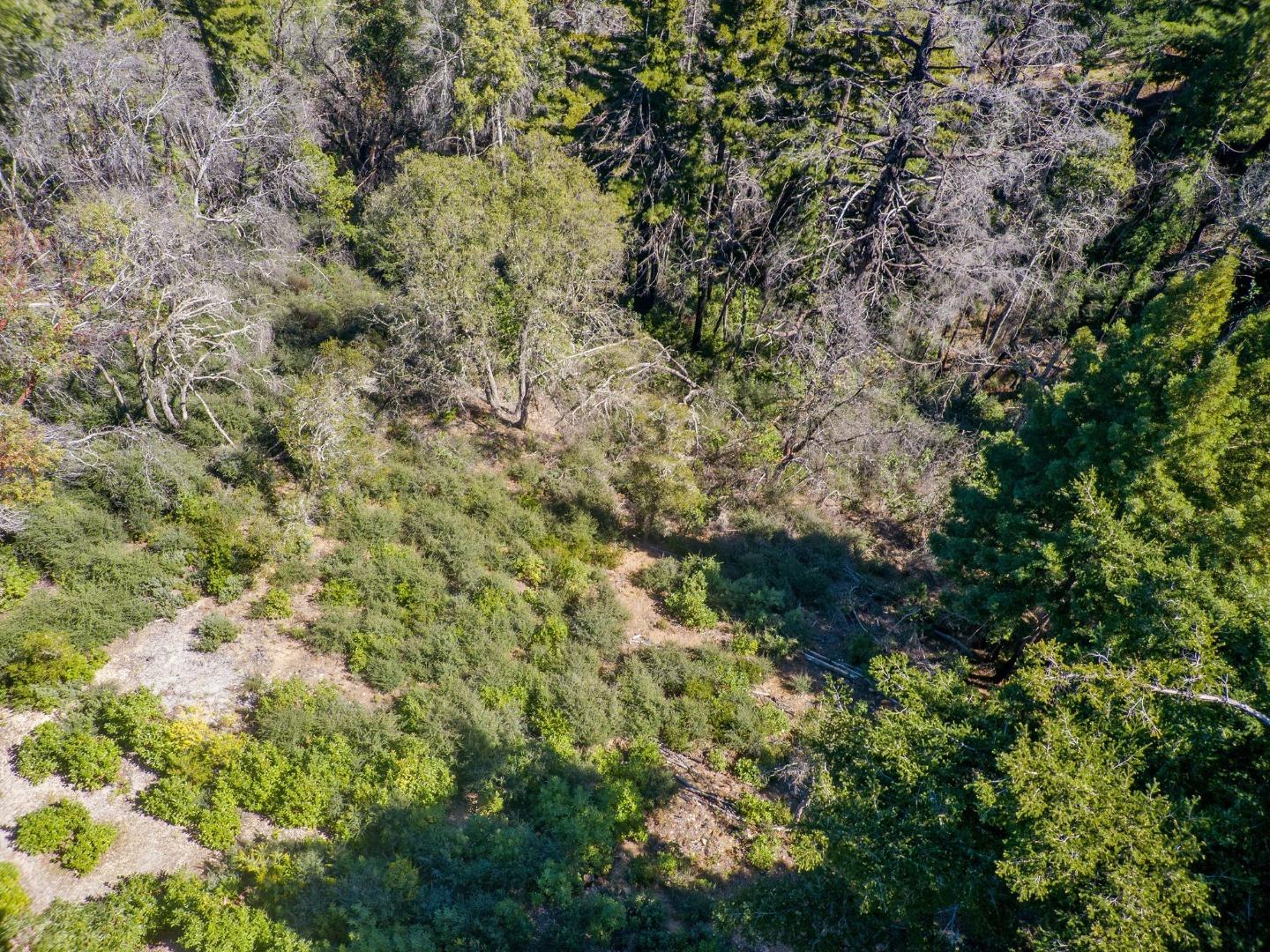 Detail Gallery Image 5 of 24 For 235 Feather Ln, Santa Cruz,  CA 95060 - – Beds | – Baths