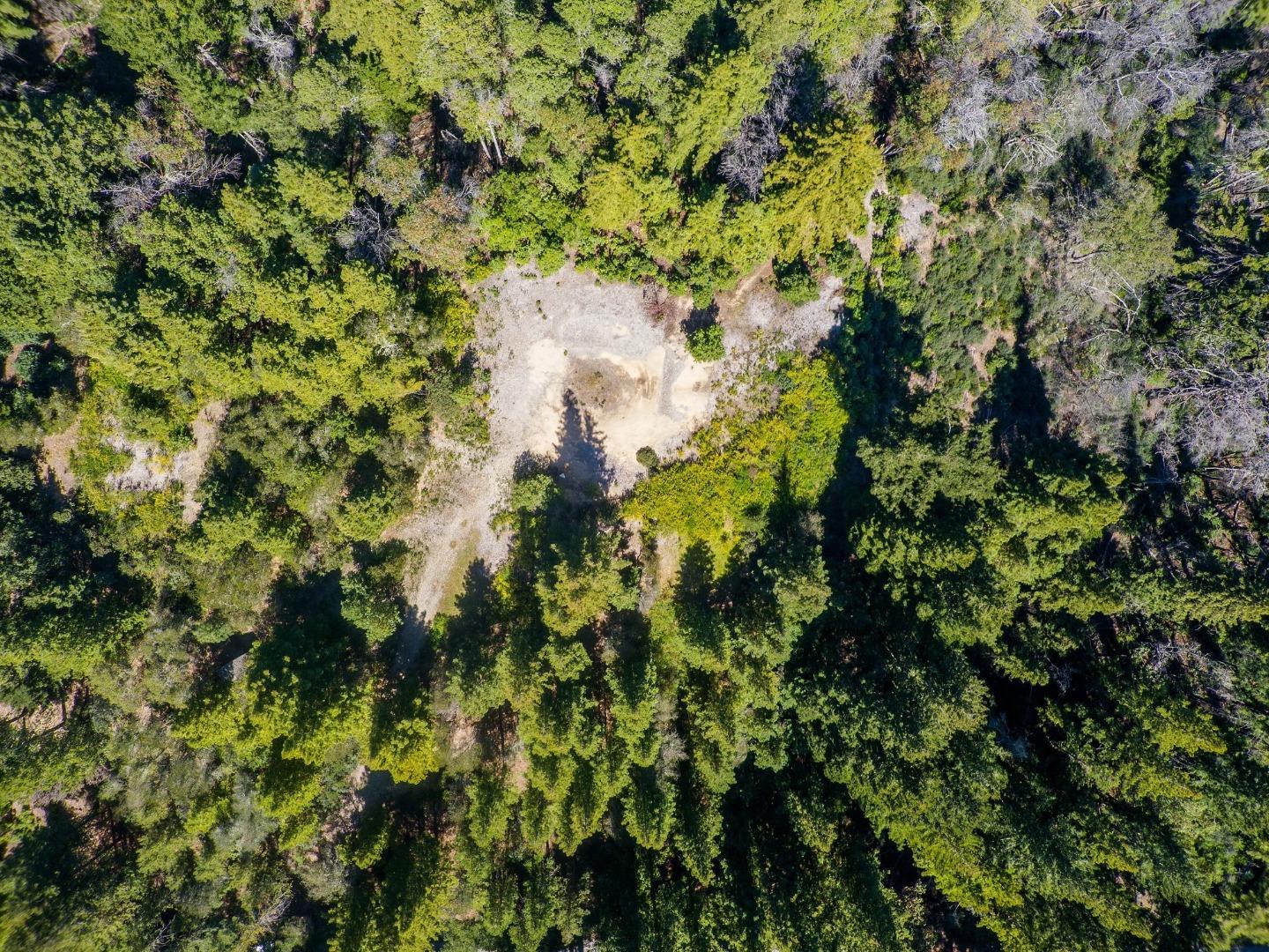 Detail Gallery Image 6 of 24 For 235 Feather Ln, Santa Cruz,  CA 95060 - – Beds | – Baths