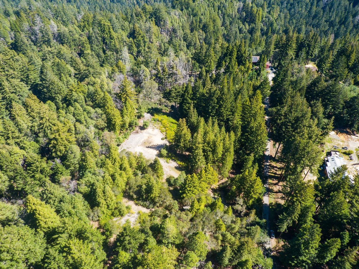 Detail Gallery Image 7 of 24 For 235 Feather Ln, Santa Cruz,  CA 95060 - – Beds | – Baths