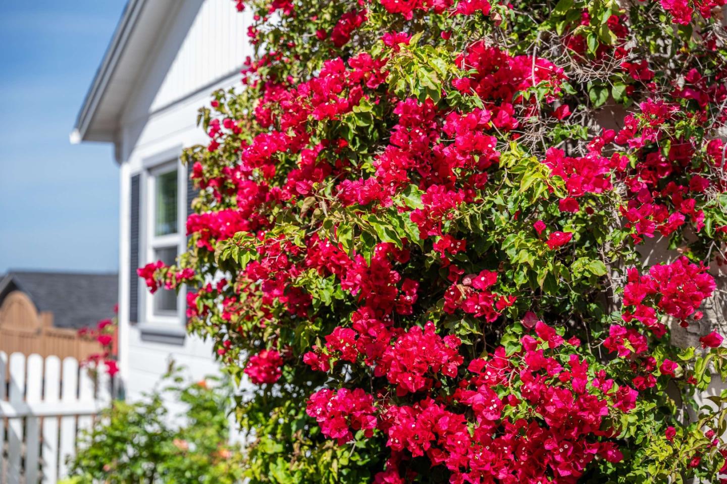 Detail Gallery Image 16 of 48 For 1 Serrano Way, Del Rey Oaks,  CA 93940 - 2 Beds | 1 Baths