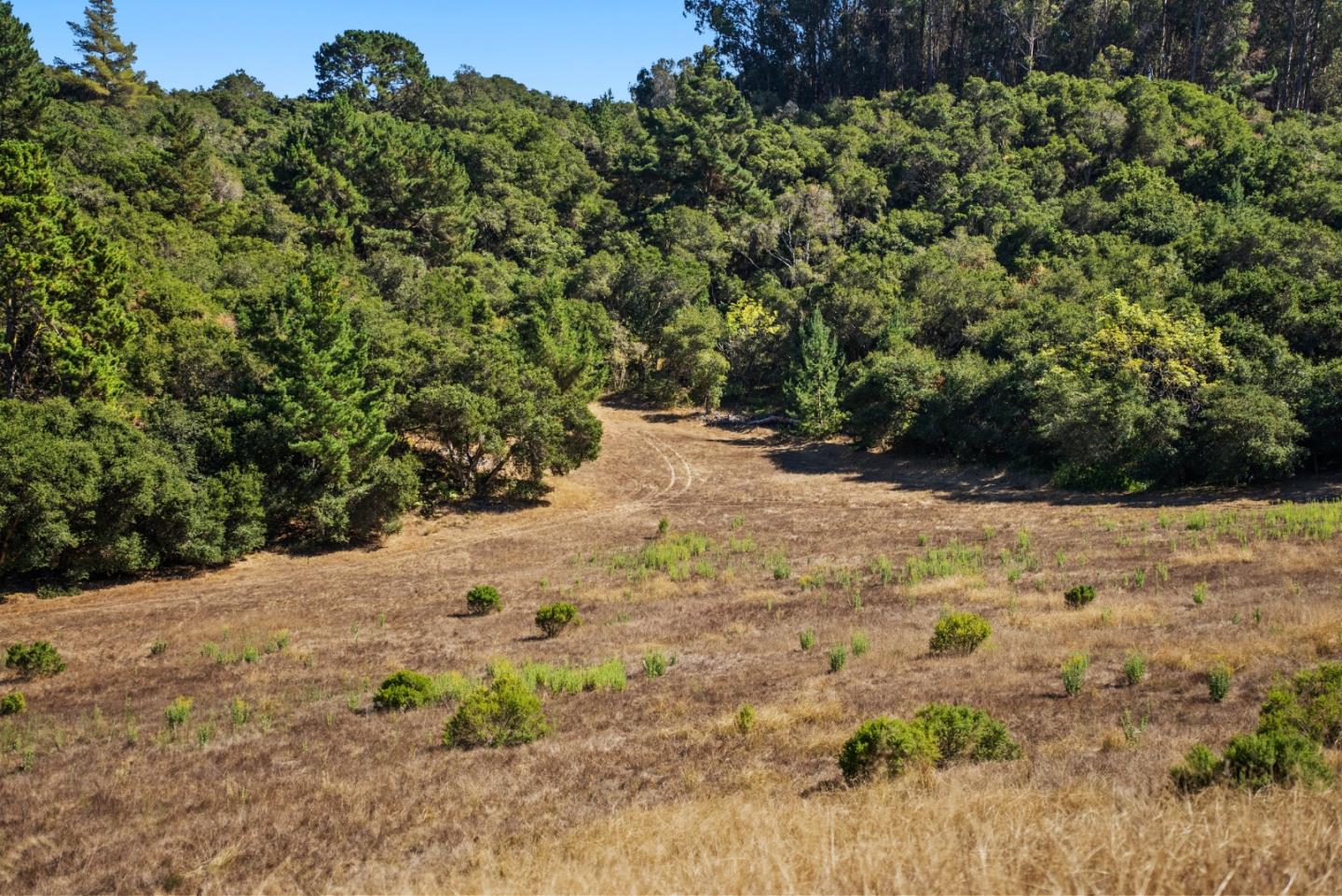 Detail Gallery Image 10 of 13 For Address Not Disclosed, Aromas,  CA 95004 - – Beds | – Baths