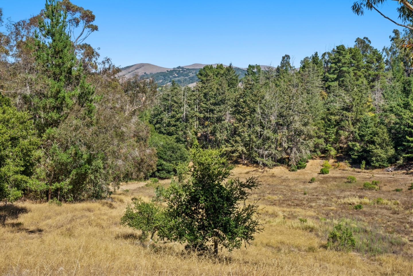 Detail Gallery Image 11 of 13 For Address Not Disclosed, Aromas,  CA 95004 - – Beds | – Baths