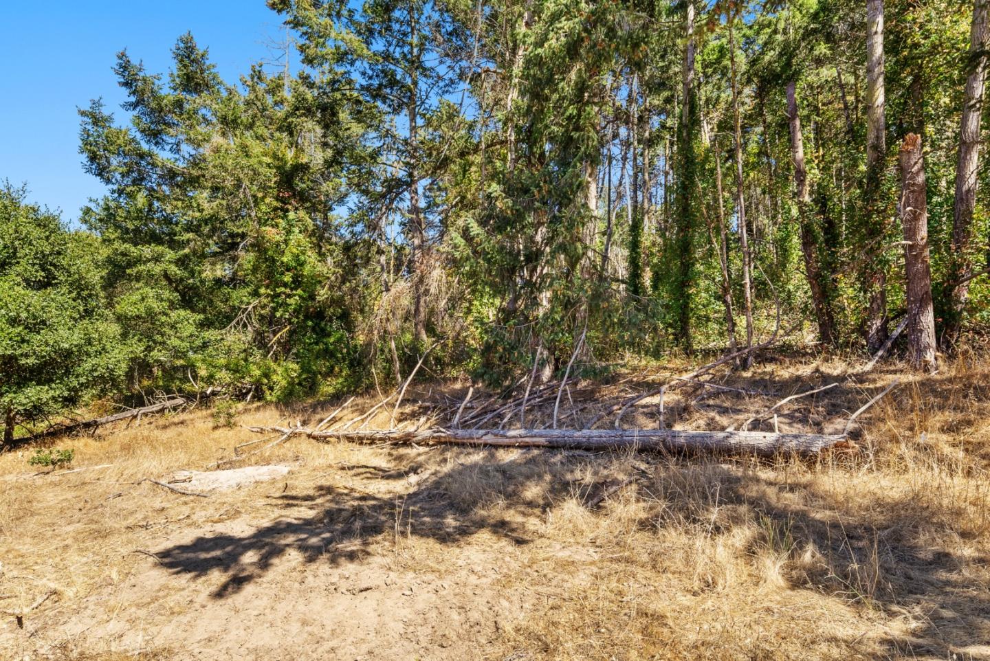 Detail Gallery Image 13 of 13 For Address Not Disclosed, Aromas,  CA 95004 - – Beds | – Baths