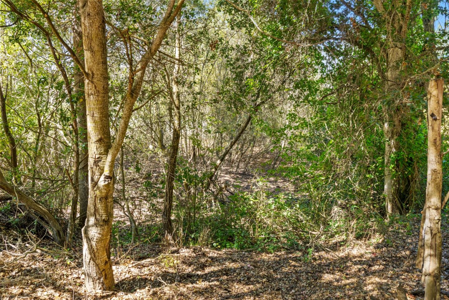 Detail Gallery Image 3 of 13 For Address Not Disclosed, Aromas,  CA 95004 - – Beds | – Baths