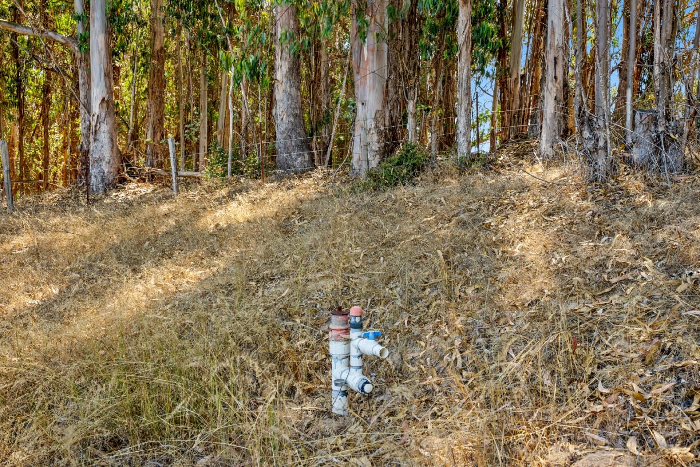 Detail Gallery Image 5 of 13 For Address Not Disclosed, Aromas,  CA 95004 - – Beds | – Baths