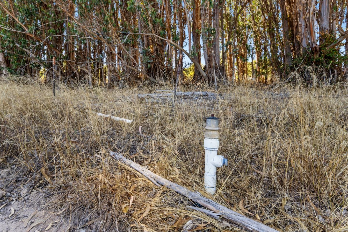 Detail Gallery Image 7 of 13 For Address Not Disclosed, Aromas,  CA 95004 - – Beds | – Baths