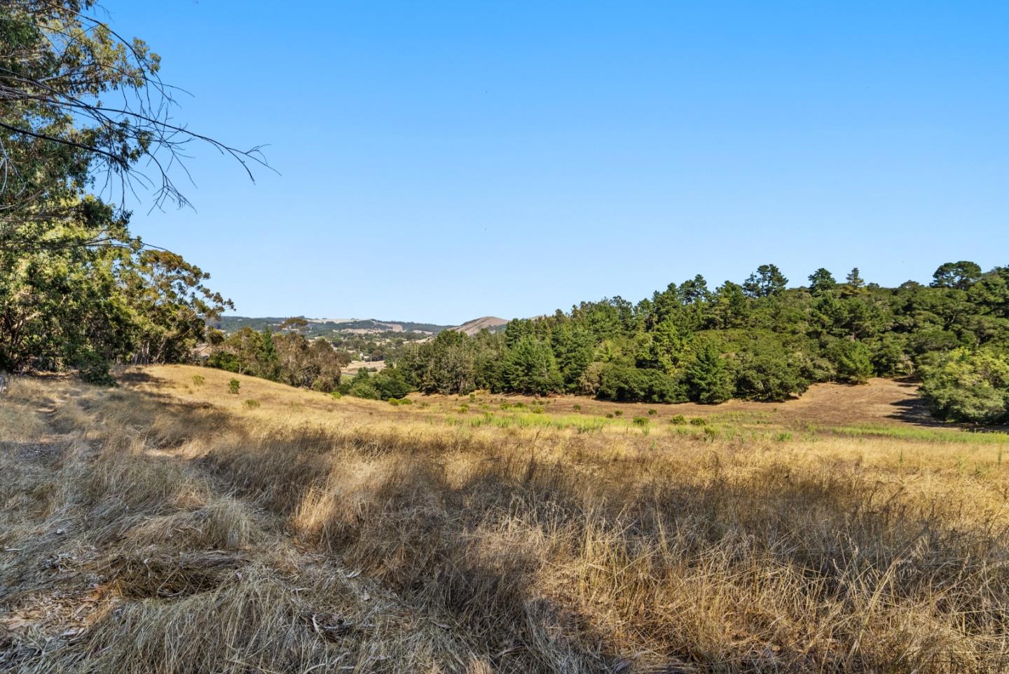 Detail Gallery Image 8 of 13 For Address Not Disclosed, Aromas,  CA 95004 - – Beds | – Baths